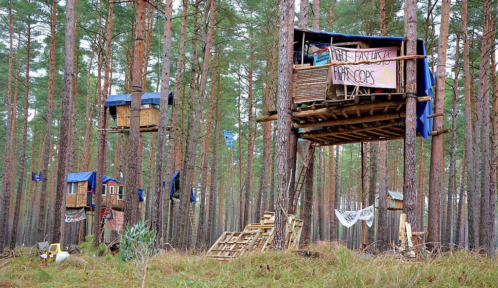 Waldbesetzung zum Selberbauen: Die Baumhaussiedlung der Umweltaktivisten vor der Räumung Mitte August