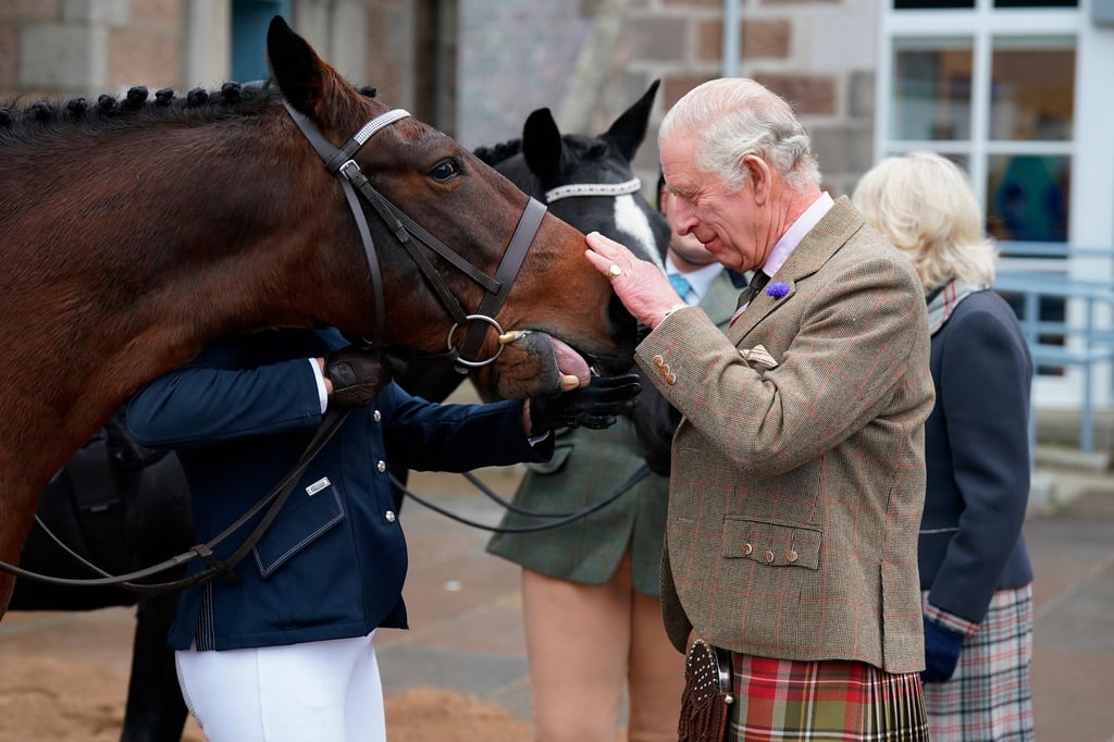 König Charles III. streichelt ein Pferd, als er und Königsgemahlin Camilla an einem Empfang teilnehmen, um der Gemeinde Aberdeenshire für ihre Organisation und Unterstützung nach dem Tod von Königin Elizabeth II. zu danken.