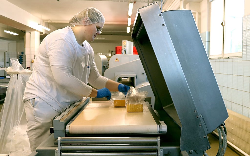 Eine Mitarbeiterin der „Börde Käse“-GmbH in Vahldorf vakuumiert den berühmten „Bördespeck“.