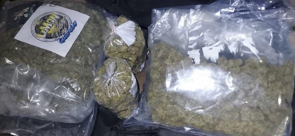Rund 1,8 Kilogramm Marihuana und weitere illegale Drogen hat die Polizei entdeckt.