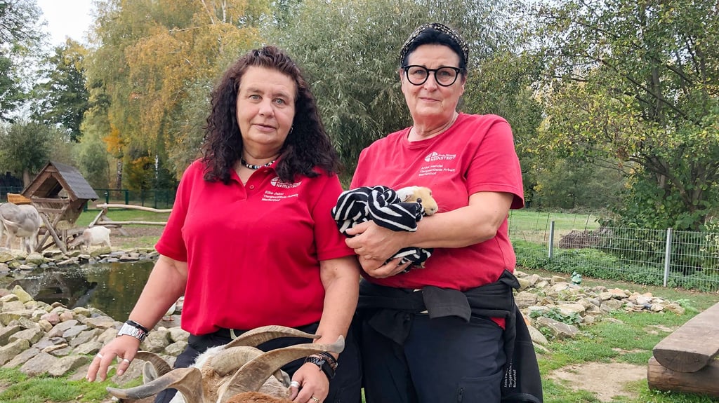 Teamleiterin Anke Hendel (r.) und Elke Jekal engagieren sich in der tiergestützten Pädagogik und Frühförderung. Meerschweinchen Knut und die Ziegen Bruno, Bernd und Felix gehören zu ihren „tierischen Mitarbeitern", wie die beiden Frauen sie nennen.