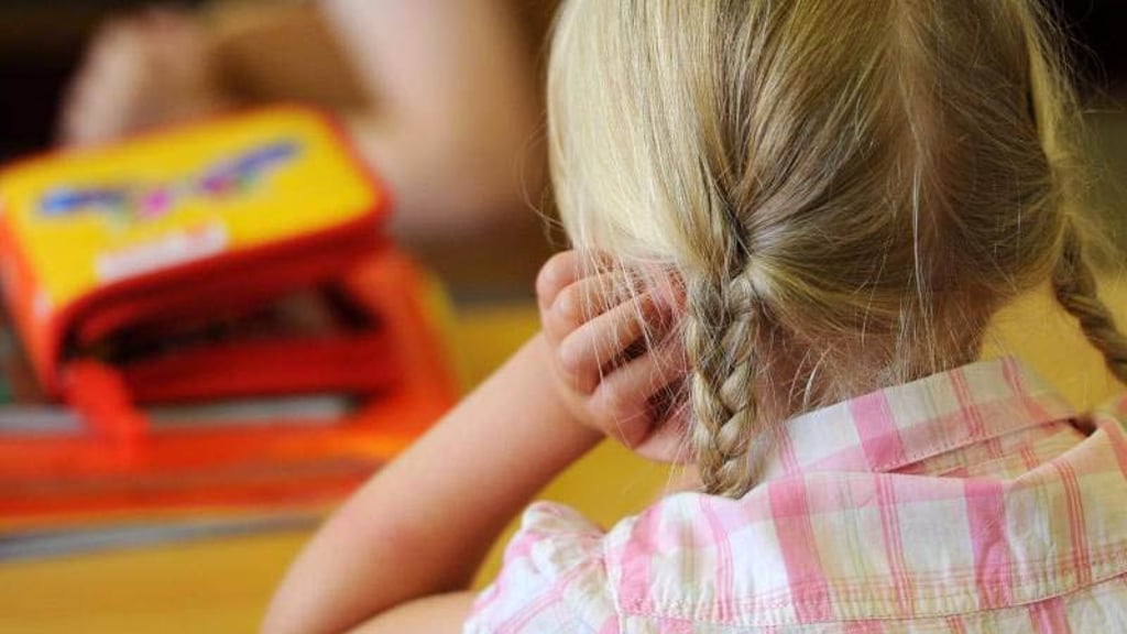 91 ukrainische Kinder kommen an den Schulen im Salzlandkreis derzeit nicht der bestehenden Schulpflicht nach.