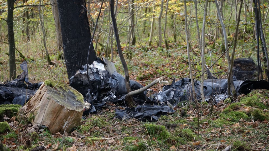 Das Flugzeugwrack an der Absturzstelle im Wald.
