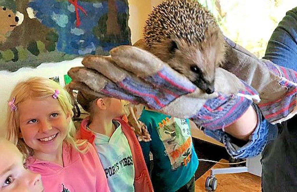 Im Zönu in Buch lernten die Grundschüler aus Tangerhütte Igel hautnah kennen und waren begeistert.