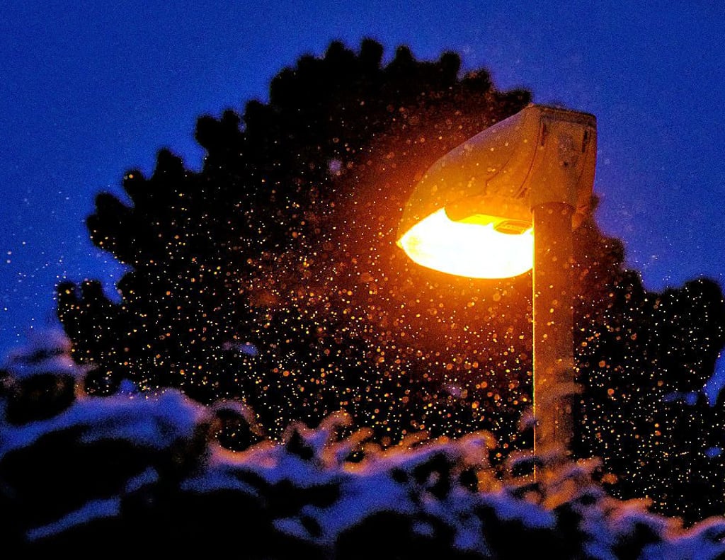Bleiben im Winter einige Straßenlaternen aus? Die Stadtverwaltung überprüft dies gerade,