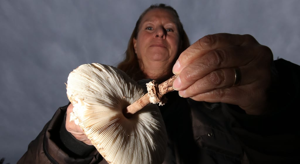 Elke Tantzen, Pilzsachverständige aus Gerwisch, führt in Ronney durch die Natur. Die nächste Pilzwanderung findet am kommenden Sonnabend ab 9.30 Uhr am Umweltzentrum statt. Rund um das Zentrum werden die gefundenen Pilze dann bestimmt.
