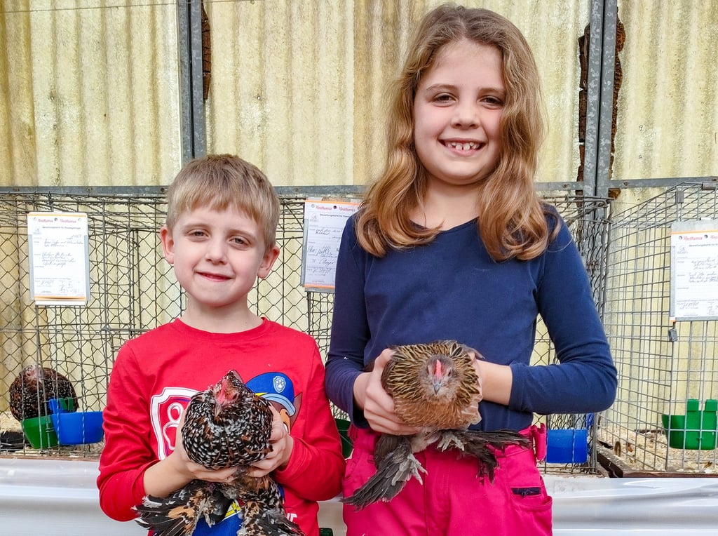 Jeremias und seine Schwester Emma züchten schon ihre eigenen Federfüßigen Zwerghühner.