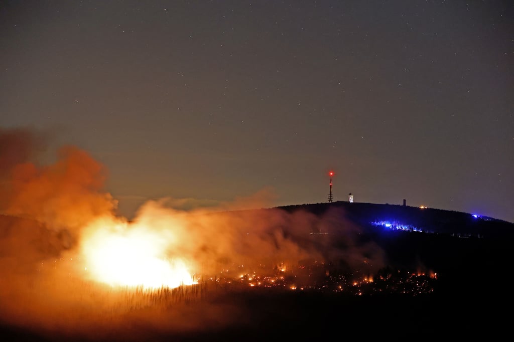Im Auust war es im Harz unterhalb des Brocken-Gipfels zu einem verheerenden Brand gekommen.