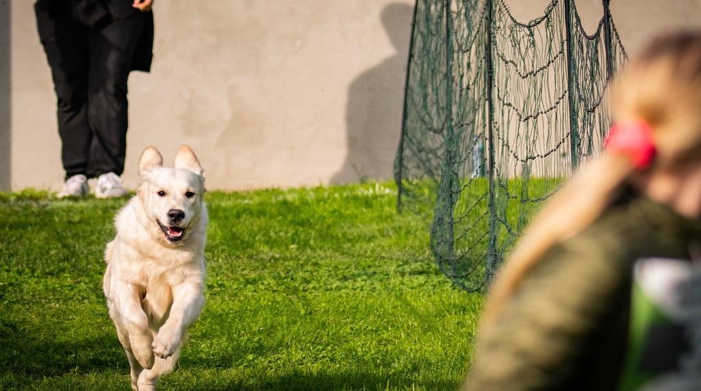 Beim 5. Ascherslebener Hunderennen belegte Emilia Wechselberger mit Paula vom Frecketal den ersten Platz der Kinderwertung.