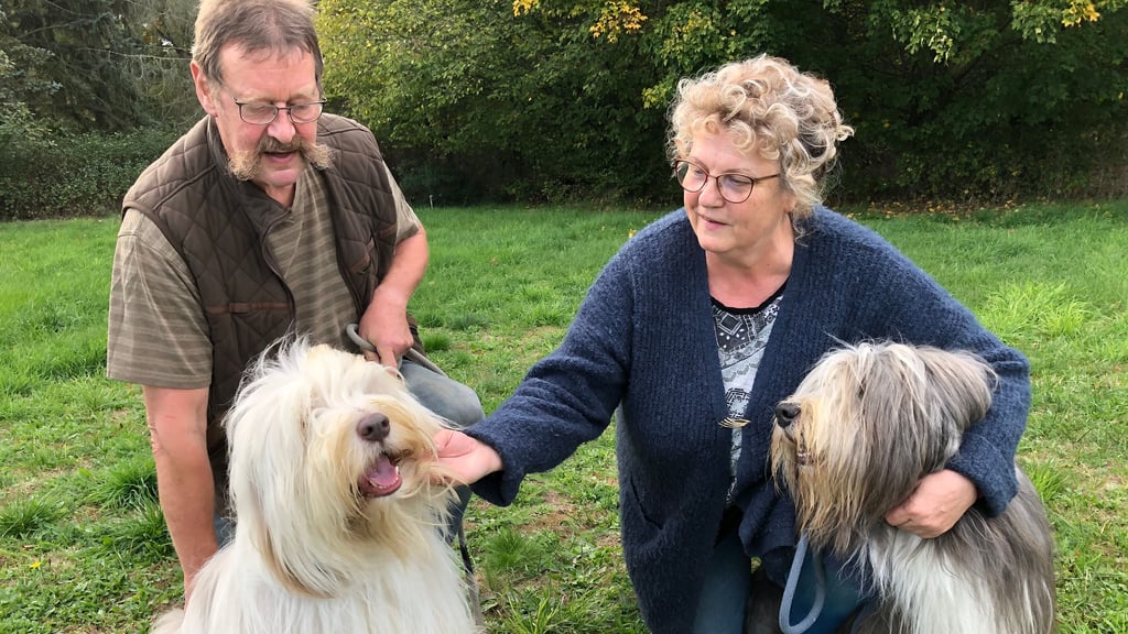 Bert und Heike Bog züchten mit viel Leidenschaft Bearded Colies.