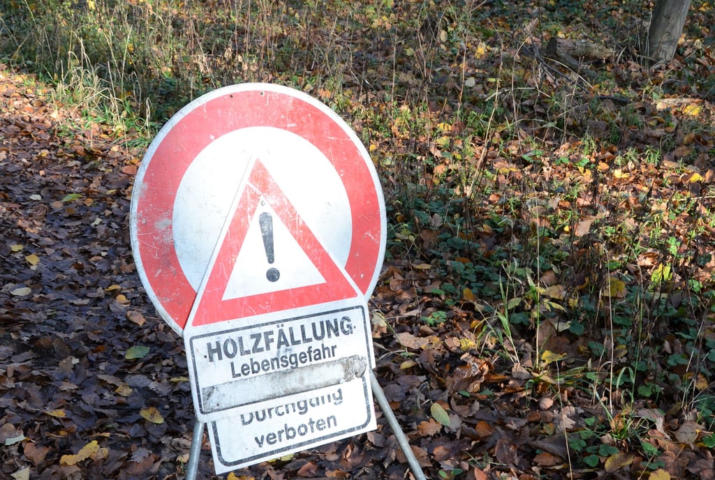 Der Zerbster Waldfrieden sollte von Besuchern bis zum 5. November 2022 gemieden werden.