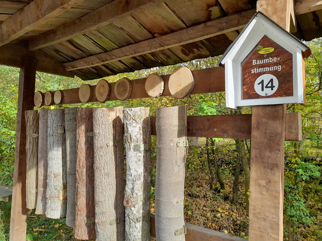 Baumarten bestimmen an Station 14.