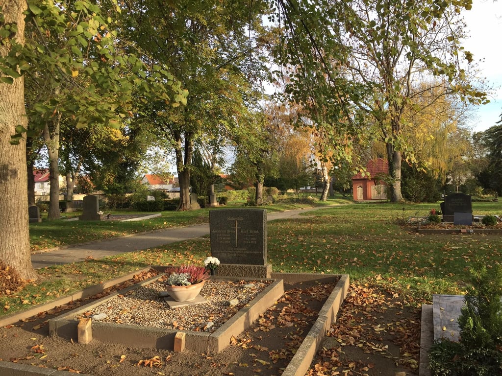So schön grün, wie hier auf dem Friedhof Frose, soll es dank der Ersatzpflanzungen an mehreren Stellen der Ortsteile des Seelandes werden.