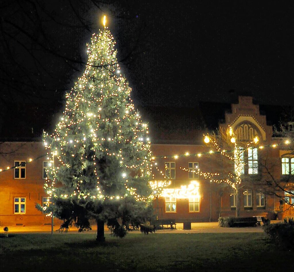 Leuchtende Rentierfigur und beleuchtete Bäume wird es in diesem Jahr nicht geben. Nur der Weihnachtsbaum darf leuchten. Mit LED-Lampen und von 17 bis 22 Uhr.