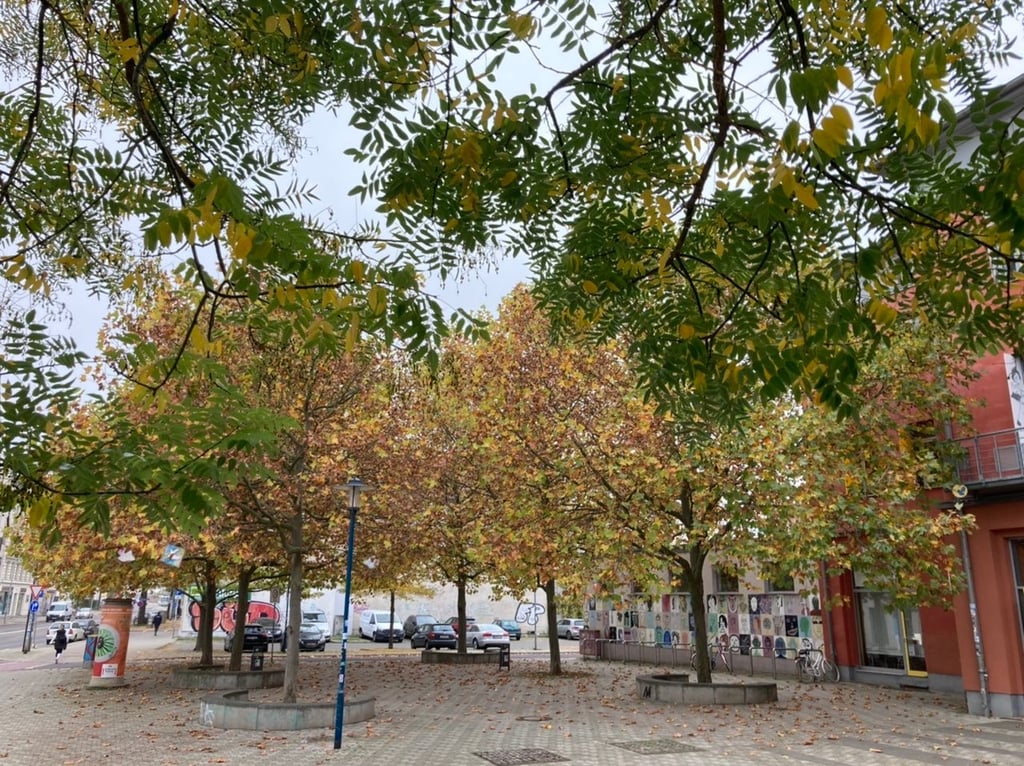 Blick auf den herbstlichen Thiemplatz in Magdeburg-Buckau.