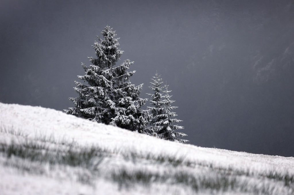 Mit Neuschnee bedeckt ist die Landschaft um den Riedbergpass.
