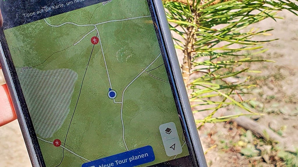 Das war mal ein Rückeweg. Inzwischen wurde hier aber aufgeforstet. In der App ist er jedoch weiterhin als Weg ausgewiesen.