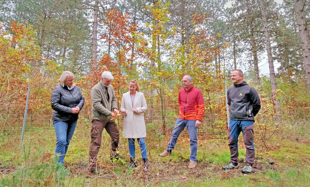 Auf dem Weg zu einem gesünderen Wald bei Petersroda: Carina Brandt vom Bauamt, Förster Roland Schwarzkopf, Bürgermeisterin Steffi Syska, Uwe Dirks vom Bauamt und Forstunternehmer Holm Kollautz (v. l.) tauschen sich am Freitag über die Waldumbaumaßnahmen aus.