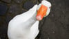 In Förderstedt im Salzland sind eine Gans und eine Ente gestohlen worden. Was mit ihnen passieren soll, kann nur gemutmaßt werden. Symbolbild: