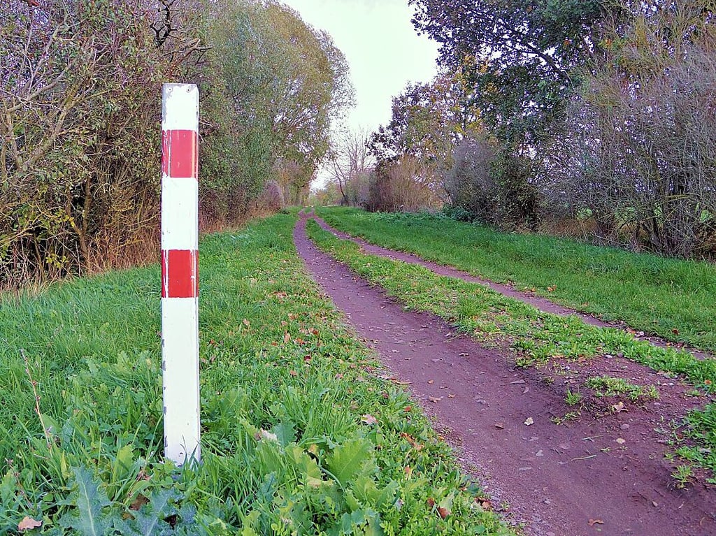 Blick auf den Klusdammradweg bei Pechau. Das Wegstück vom Deich bis zur Klusbrücke wird in den nächsten Tagen erneuert.
