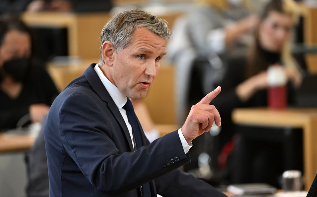 Björn Höcke, AfD-Fraktionschef, spricht.