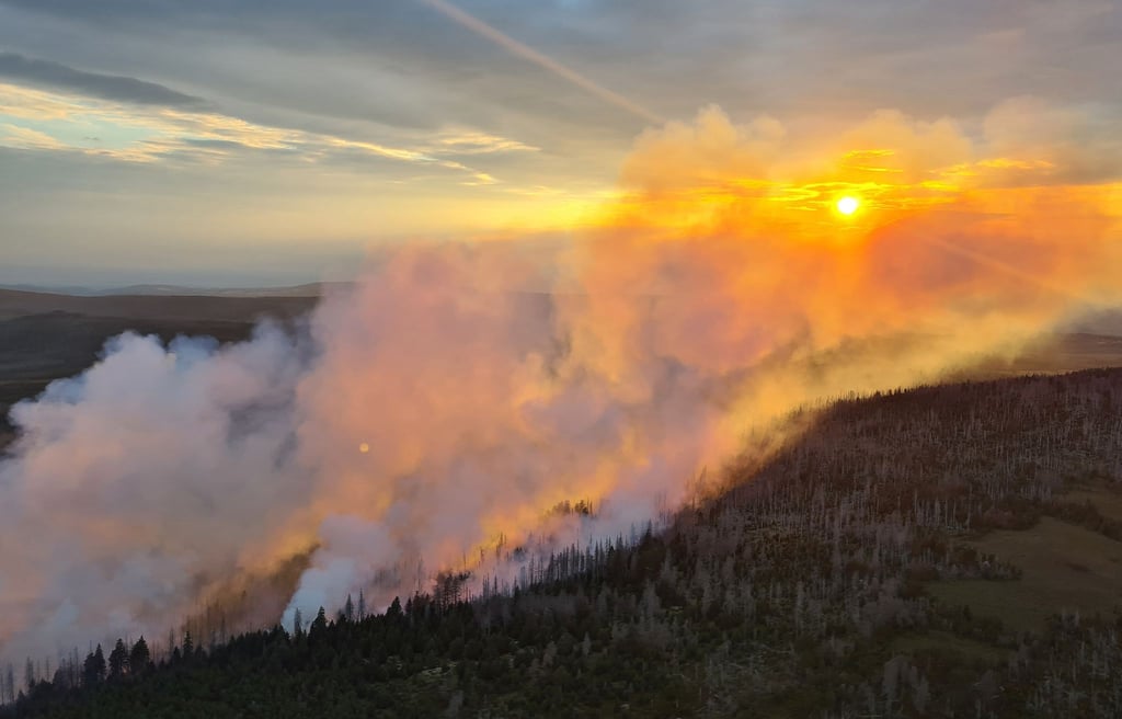 Blick auf einen Waldbrand.