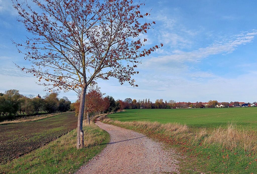 Zwischen Staßfurt und Löderburg (im Hintergrund) ist der Radweg an der Bode durch den Schotter sehr uneben. Hier fehlt ein richtiger Asphalt. Ab Mai 2023 soll hier gebaut werden.