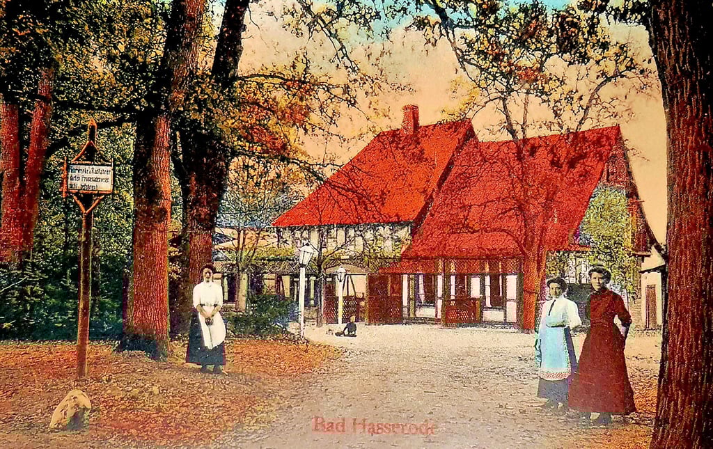 Wo die Hasseröder einst baden lernten – eine historische Postkarte vom Nesseltalbad. 2005 wurde hier der Hasseröder Ferienpark eröffnet.