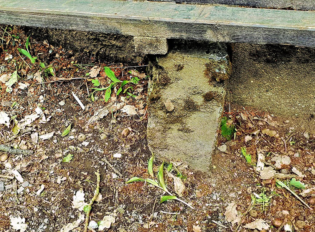 Am Katharinenholz waren die Pflanzen entfernt worden.