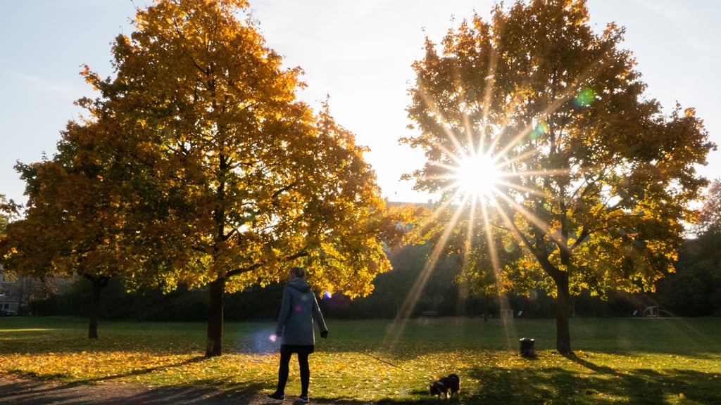 Der 54-Jährige wurde Mitte Oktober im Schillerpark attackiert.