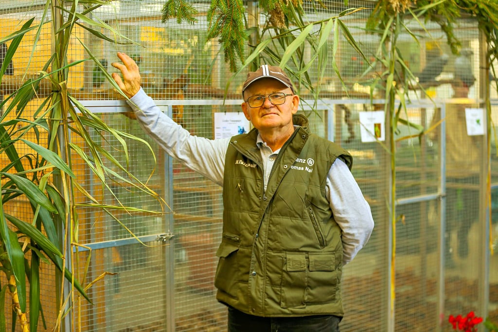 Papageien- und Großsittichzüchter Manfred Faltinsky aus Braunsbedra zeigte seine Tiere am Wochenende bei einer Schau.