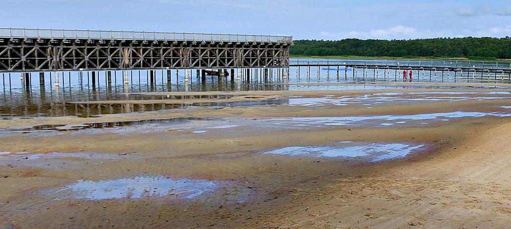 Vom einstigen Nichtschwimmerbereich im Arendseer Strandbad sind nur einige Pfützen geblieben.