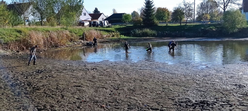 Fischen ohne Ruten: Beim Arbeitseinsatz am Wochenende ging es einzig darum, den gesamten verbliebenen Fischbestand einzusammeln und umzusiedeln.