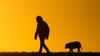Ein Mann spaziert mit einem Hund bei Sonnenaufgang über einen Feldweg.