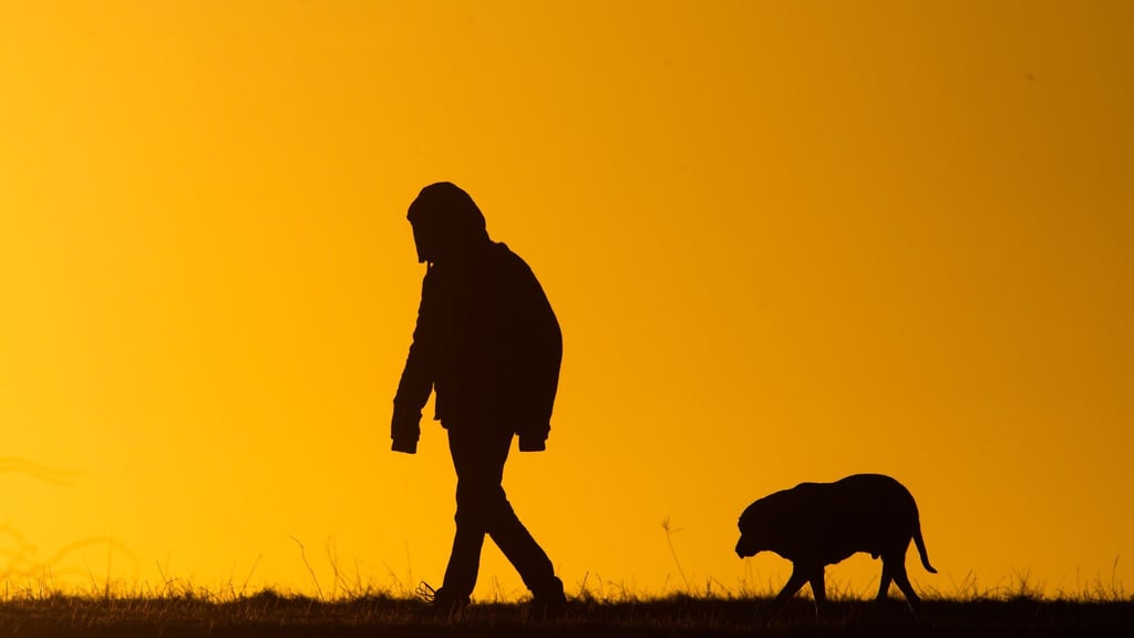 Ein Mann spaziert mit einem Hund bei Sonnenaufgang über einen Feldweg.