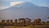 Der Kilimandscharo ist Afrikas höchster Berg und ein beliebtes Touristenziel. Seit rund zwei Wochen wütet ein Großfeuer auf dem Berg.