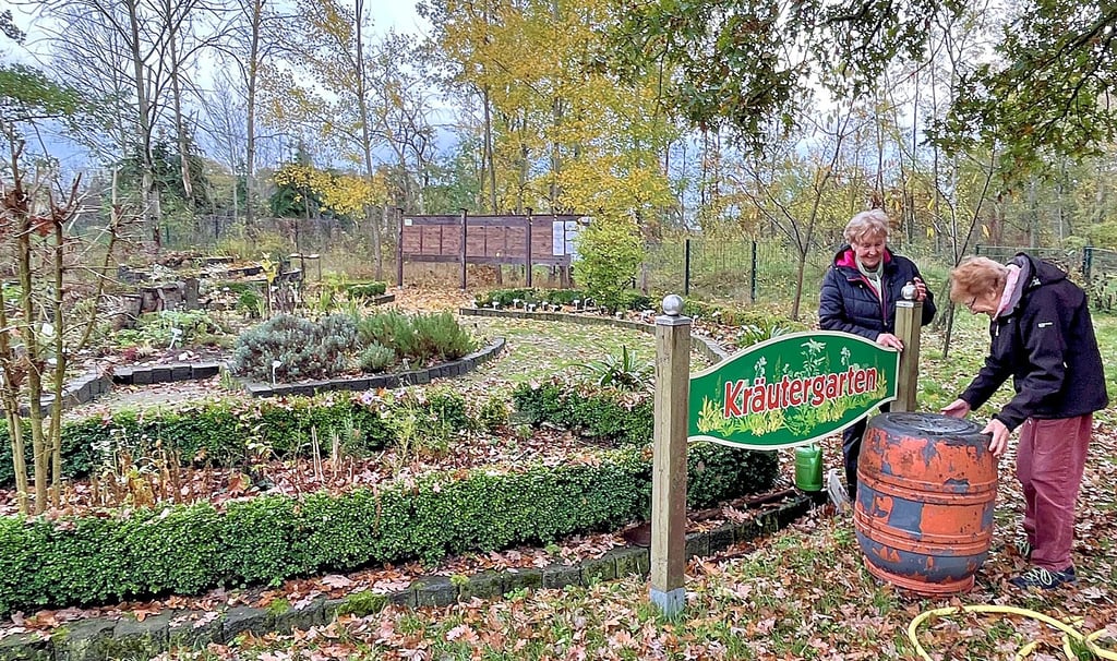 Heide Burkert (rechts) und Barbara Richter treffen am vorerst letzten Besuchertag im Wildpark Weißewarte noch einmal Vorbereitungen für den Winter im Kräutergarten.