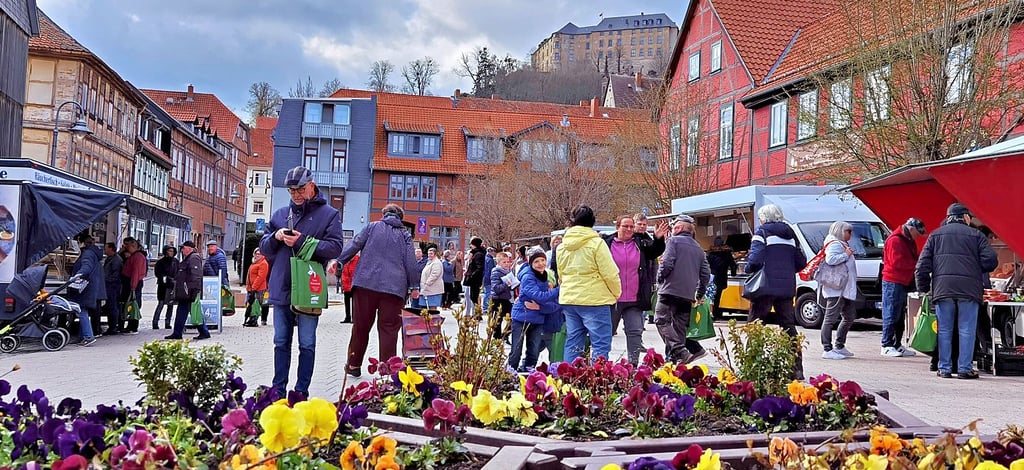 Der Blankenburger Wochenmarkt auf dem Tummelplatz. Nach großer Euphorie folgt nun wohl erstmal das Aus.