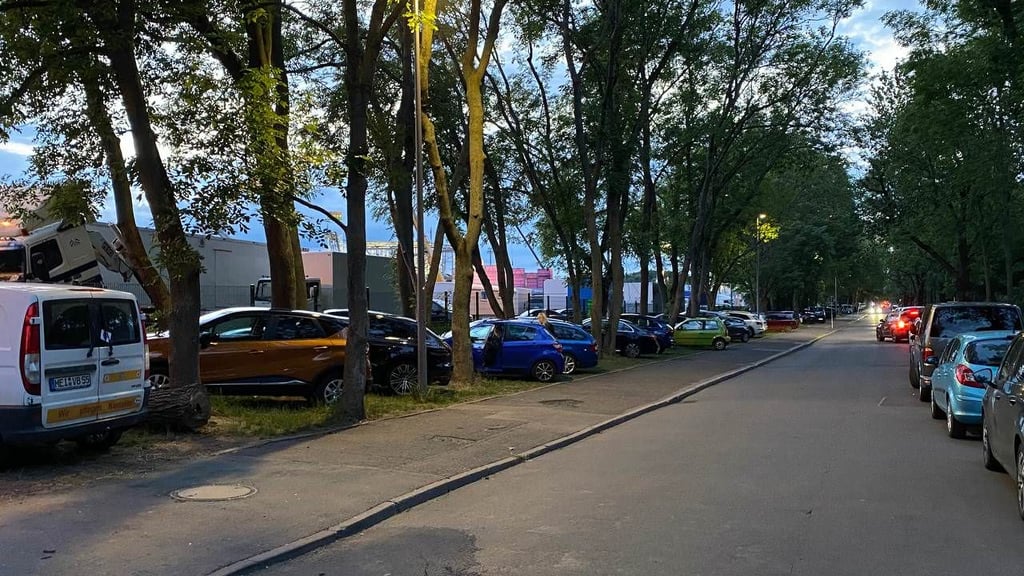 Wildparker am Cottaweg.