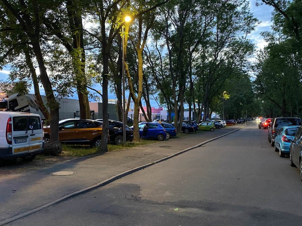 Wildparker am Cottaweg.