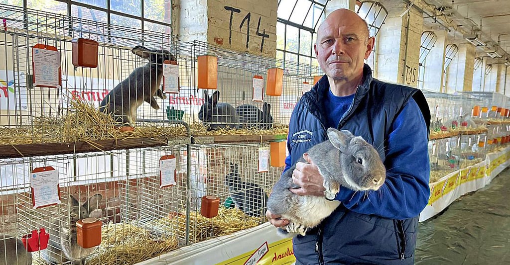 Andreas Beyer mit dem besten Rammler der Schau. Seine Tiere der Rasse „Blaugraue Wiener" wurden am höchsten bewertet.