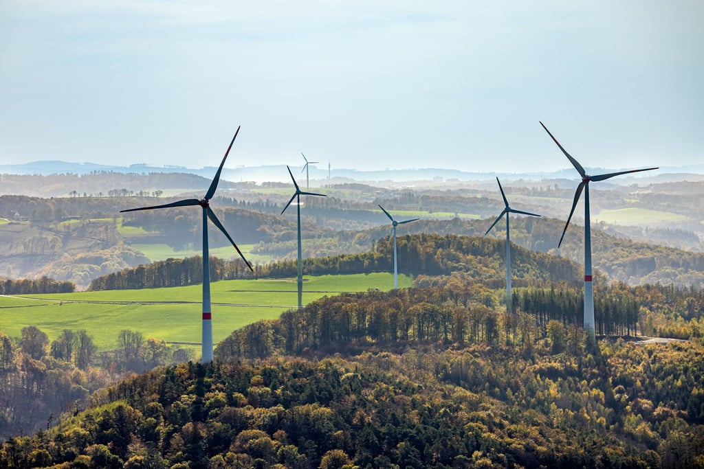 Sachsen-Anhalt will auch Windkraft in Wirtschaftswäldern erlauben.