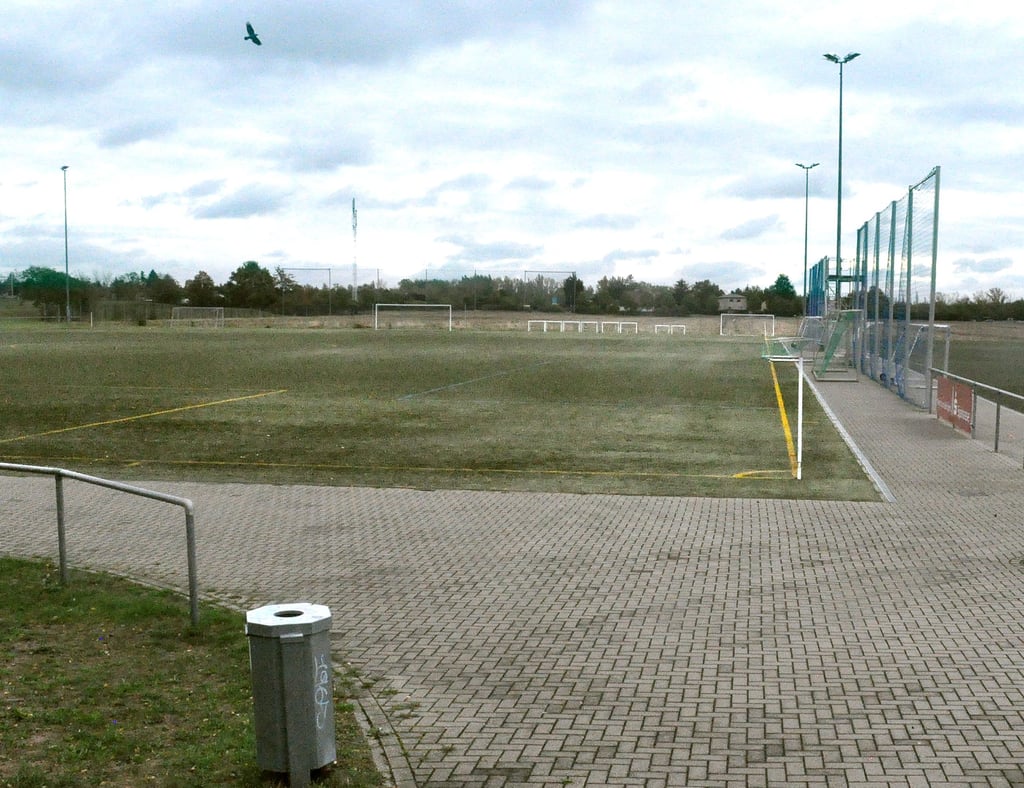 Hinreichend trostlos wirken die Trainingsplätze an der MDCC-Arena, die auch von den Fußballern des FCM genutzt werden. Der Magdeburger Stadtrat hatte darüber zu entscheiden, ob das Areal für 6,7 Millionen Euro saniert werden soll.