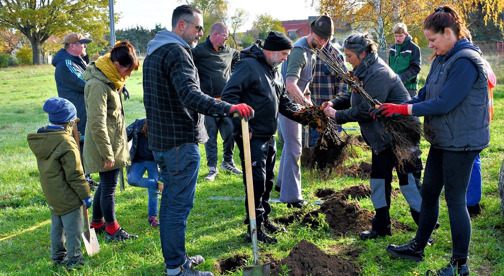 Damit in Zießau eine neue Hecke gedeihen kann, muss vorher angepackt werden.