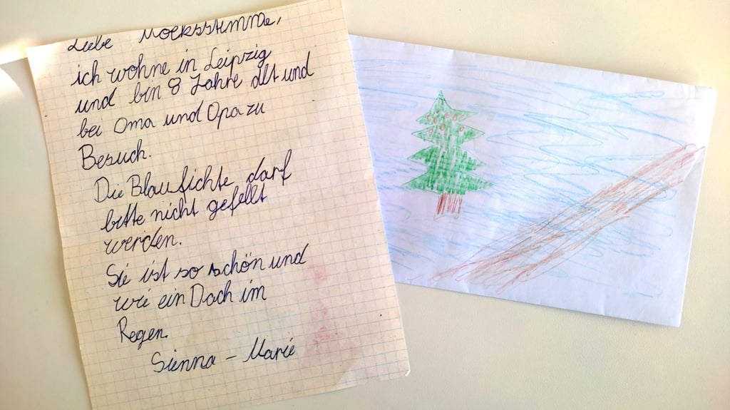 Die achtjährige Sienna-Marie möchte nicht, dass die Blaufichte gefällt wird: „Sie ist so schön und wie ein Dach im Regen.“
