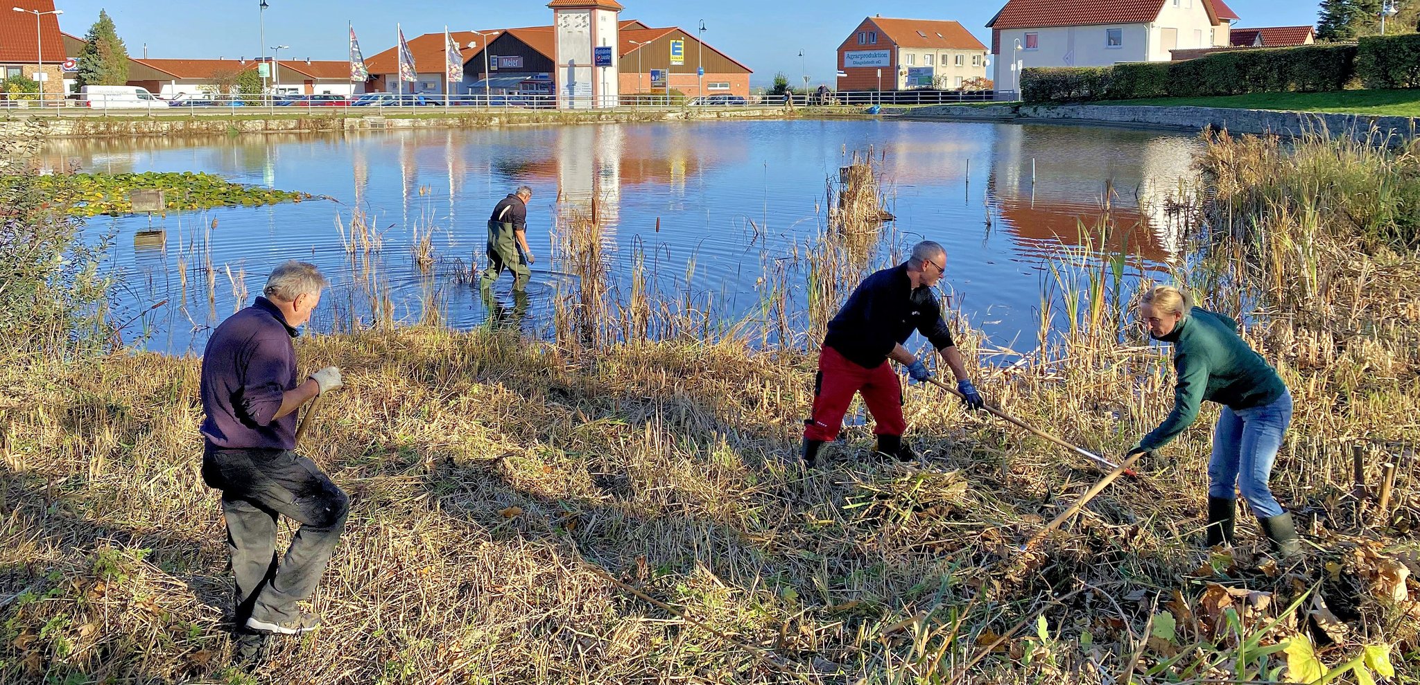 Arbeitseinsatz Unmengen Müll am Teich in Dingelstedt beseitigt