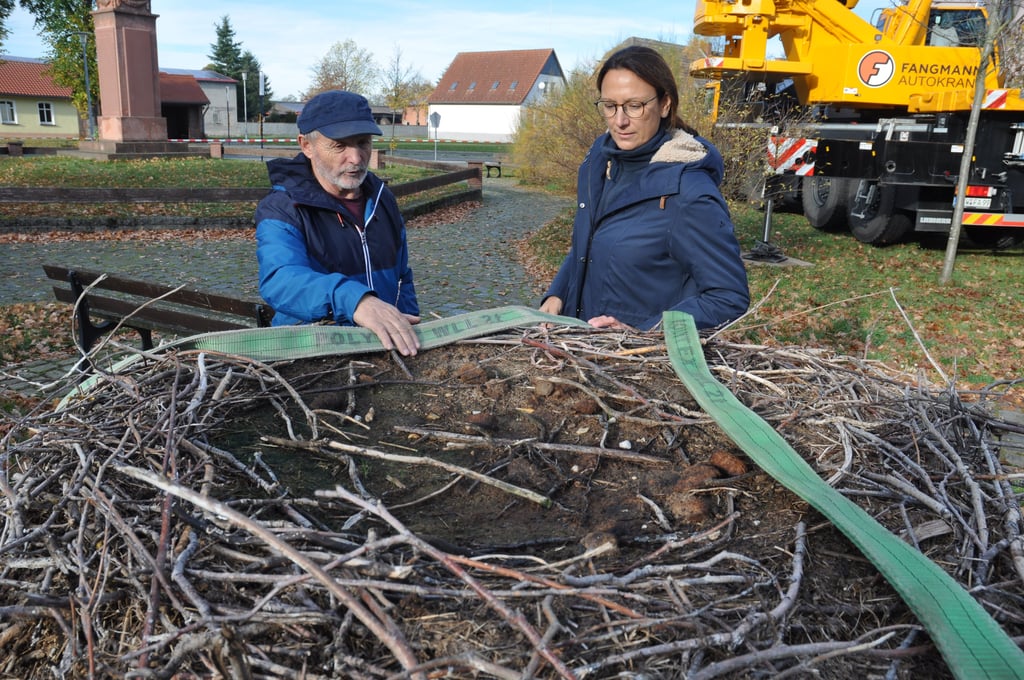Wolfgang Sender und Katja Rötz von der Biosphärenreservatsverwaltung Drömling beobachteten die Arbeiten am Schornstein und schauten auch ins Nest.