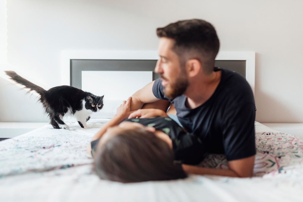 Wenn Frauchen oder Herrchen einen neuen Partner hat, kann das für die Katze zum Albtraum werden.