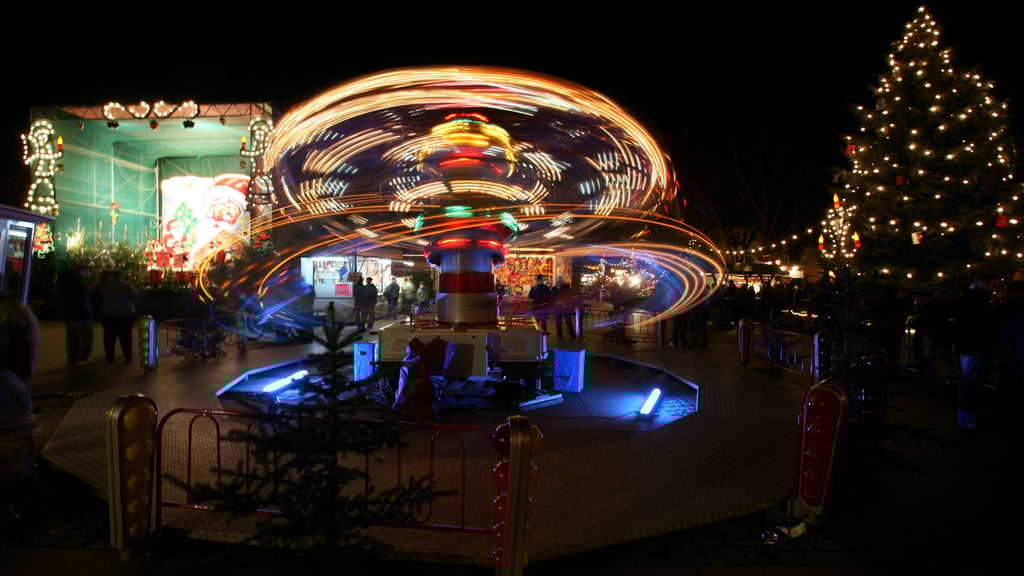 Der Weihnachtsmarkt in Bernburg, der „Heele-Christ-Markt“, ist der älteste Markt der Stadt.