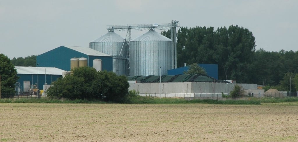 Die Schweinezuchtanlage in Gladau.